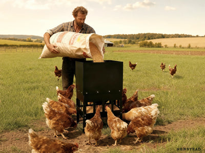 The Henstead Feeder