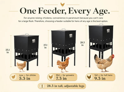 The Henstead Feeder