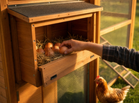 The Big Barn Coop